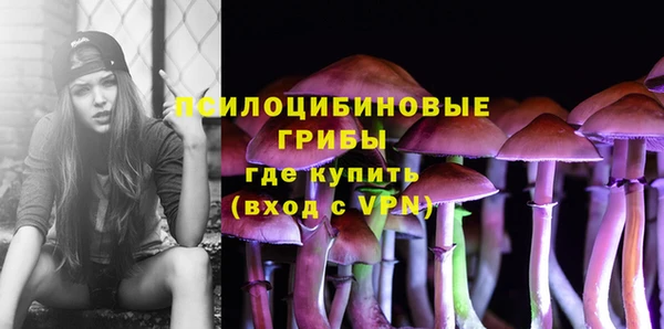 прущие грибы Тихорецк
