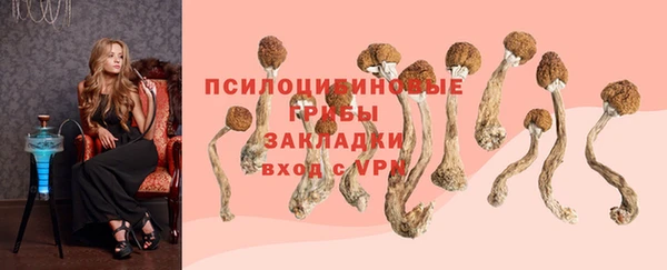 крисы Богородск