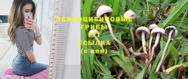 крисы Богородск