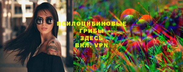 таблы Богданович