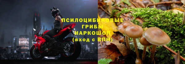 крисы Богородск